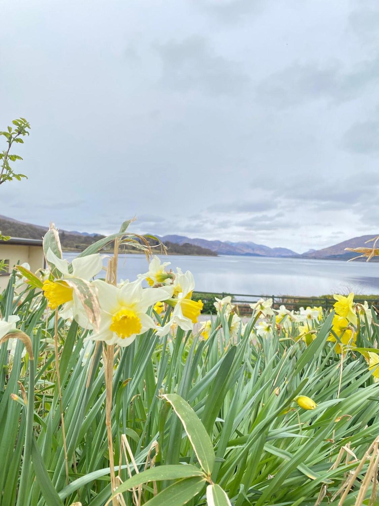 Linnhe Lochside Holidays Corpach Exterior foto